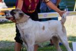 img_0329 kopie.jpg